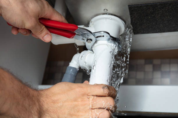 Best Mold removal after water damage  in Port Allegany, PA