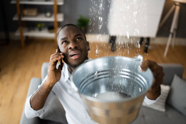 Best Commercial water damage restoration  in Port Allegany, PA