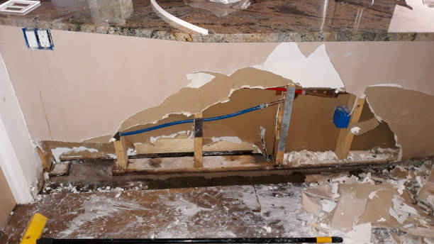 Best Flood restoration services  in Port Allegany, PA
