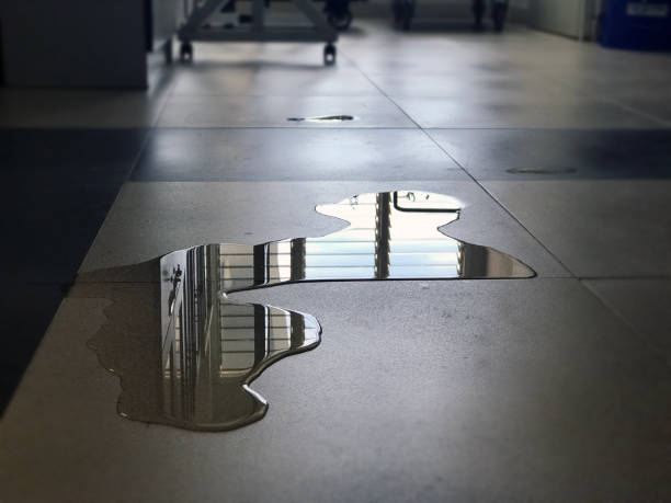 Best Water damage restoration specialists  in Port Allegany, PA