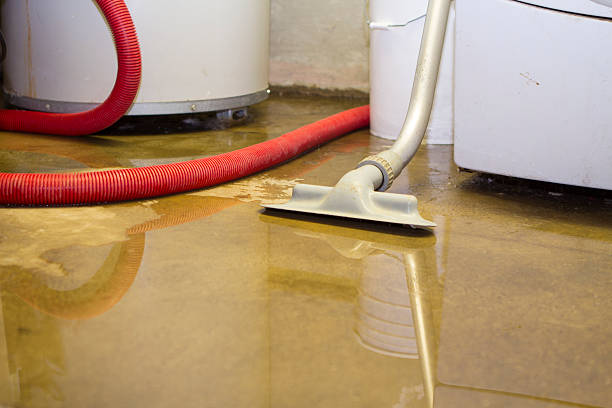 Best Water damage restoration near me  in Port Allegany, PA
