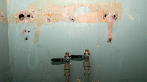 Best Water damage restoration insurance claims  in Port Allegany, PA