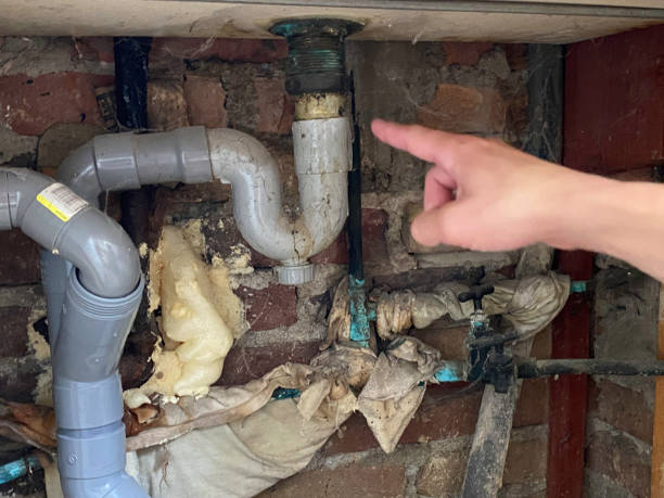 Best Water damage repair service  in Port Allegany, PA